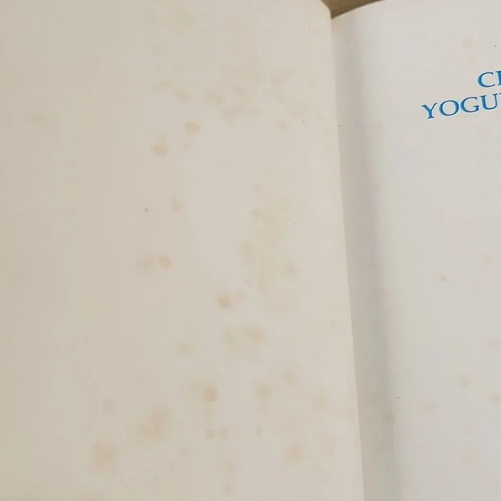 Creative Yogurt Cooking 1978 Cookbook - Picture 13 of 13